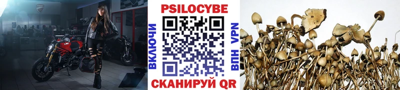 площадка наркотические препараты Давлеканово Галлюциногенные грибы мухоморы